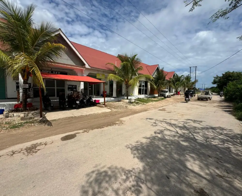Zanzibar tourist services